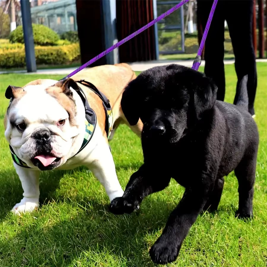 Dual Dog Leash with 360-Degree Swivel - Tangle-Free Walking Solution for Small Dogs - Enhanced Safety and Enjoyment During Walks