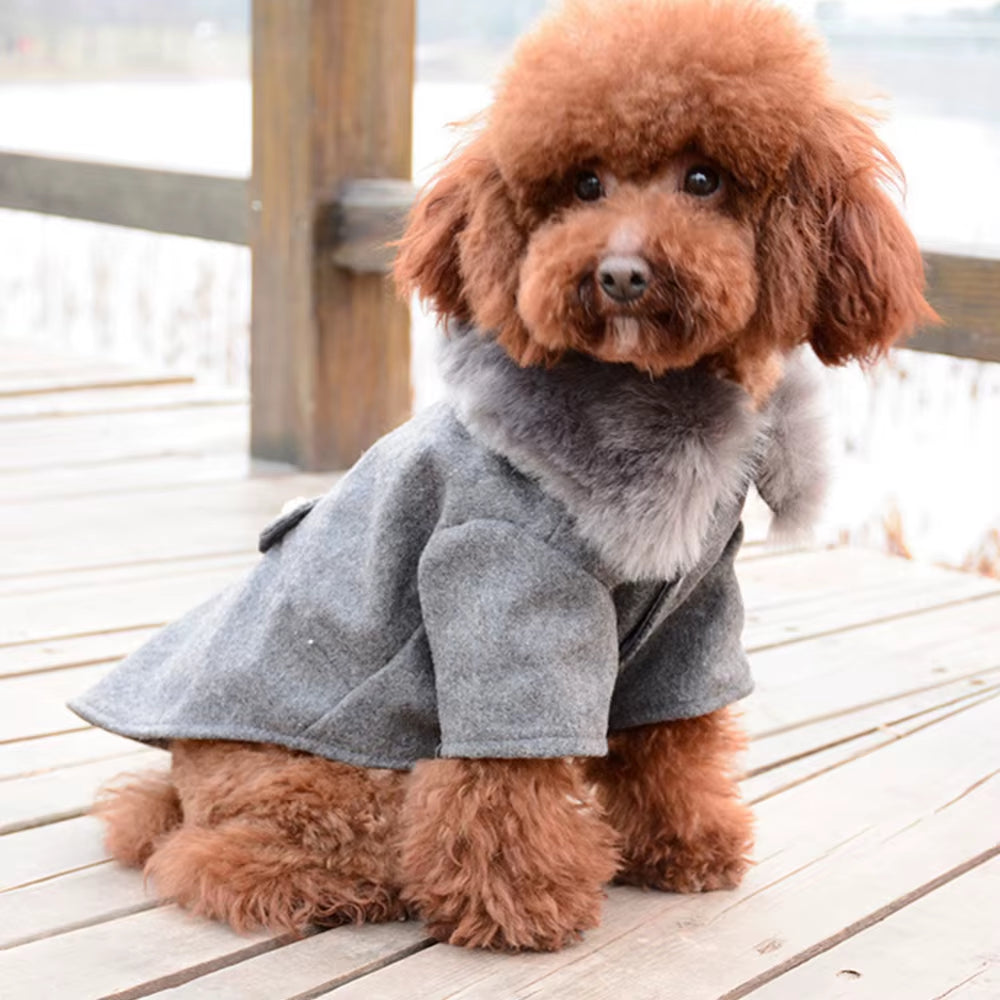 Winter Apparel for Small to Medium Dogs and Cats - Fur Collar Jacket and Sweater with Warm Padded Design