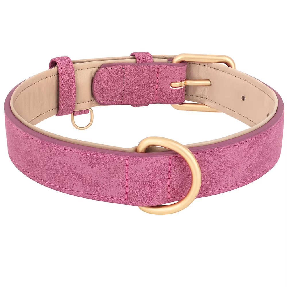 Premium Leather Dog Collar with Soft Padding - Adjustable for Small, Medium, and Large Breeds