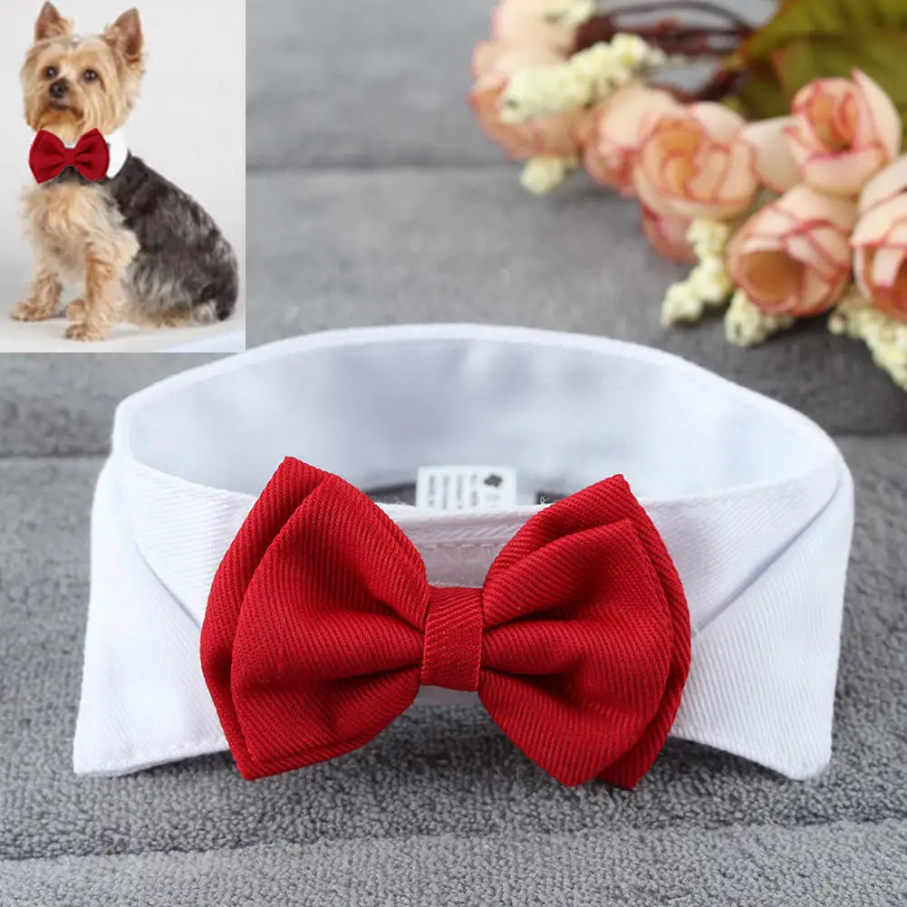 Adjustable Bow Tie Collar for Pets - Suitable for Dogs and Cats, Ideal for Holidays and Weddings, Elegant Grooming Accessory