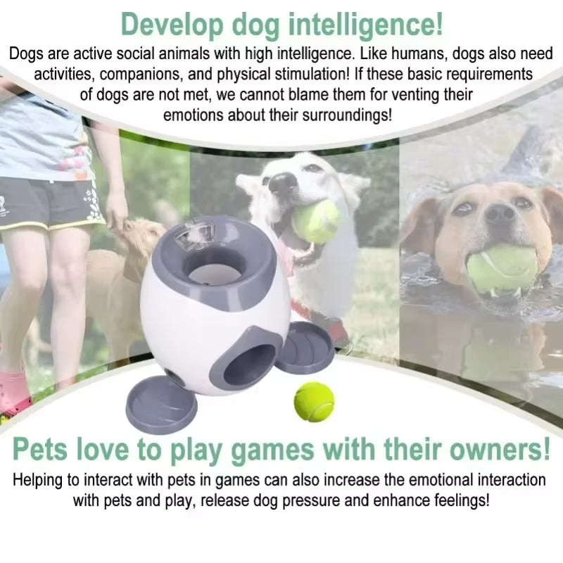 Automatic Tennis Ball Launcher for Medium Dogs - Interactive Training Device and Smart Feeder