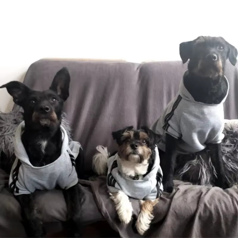 Adidog Autumn/Winter Dog Hoodies - Warm Coats for Medium to Large Breeds, Perfect for French Bulldogs and Puppies