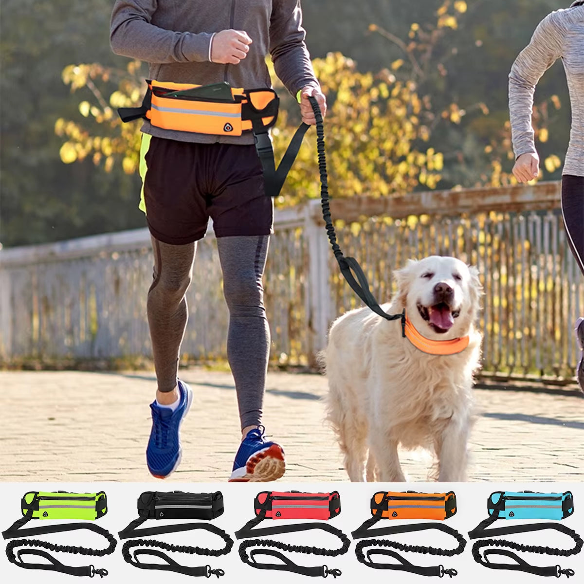 Hands-Free Reflective Dog Leash for Running and Walking with Waist Bag and Elastic Retractable Belt