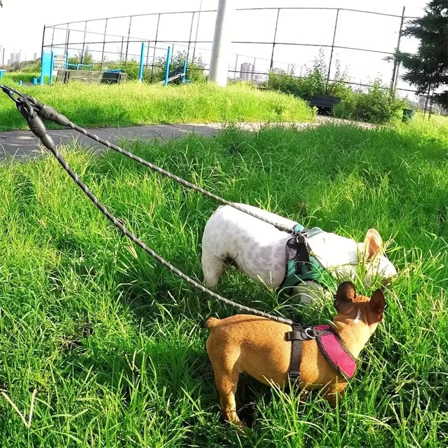 Dual Dog Leash with 360-Degree Swivel - Tangle-Free Walking Solution for Small Dogs - Enhanced Safety and Enjoyment During Walks