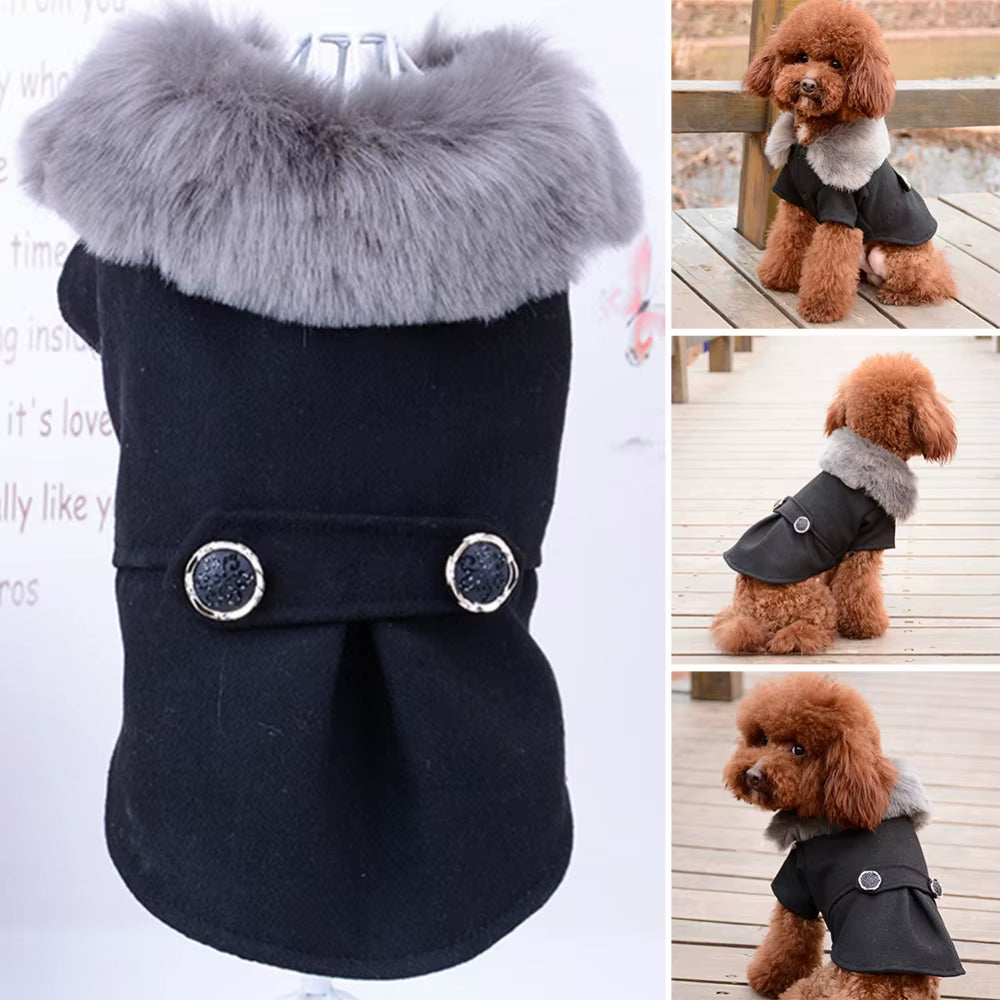 Winter Apparel for Small to Medium Dogs and Cats - Fur Collar Jacket and Sweater with Warm Padded Design