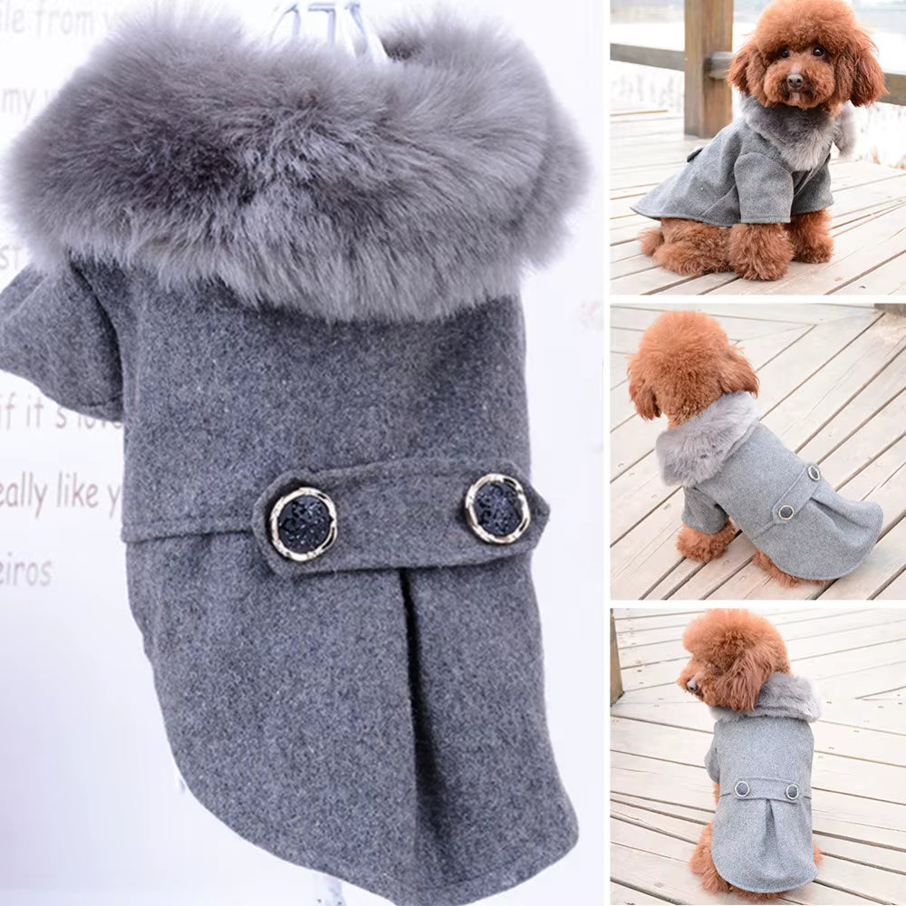 Winter Apparel for Small to Medium Dogs and Cats - Fur Collar Jacket and Sweater with Warm Padded Design