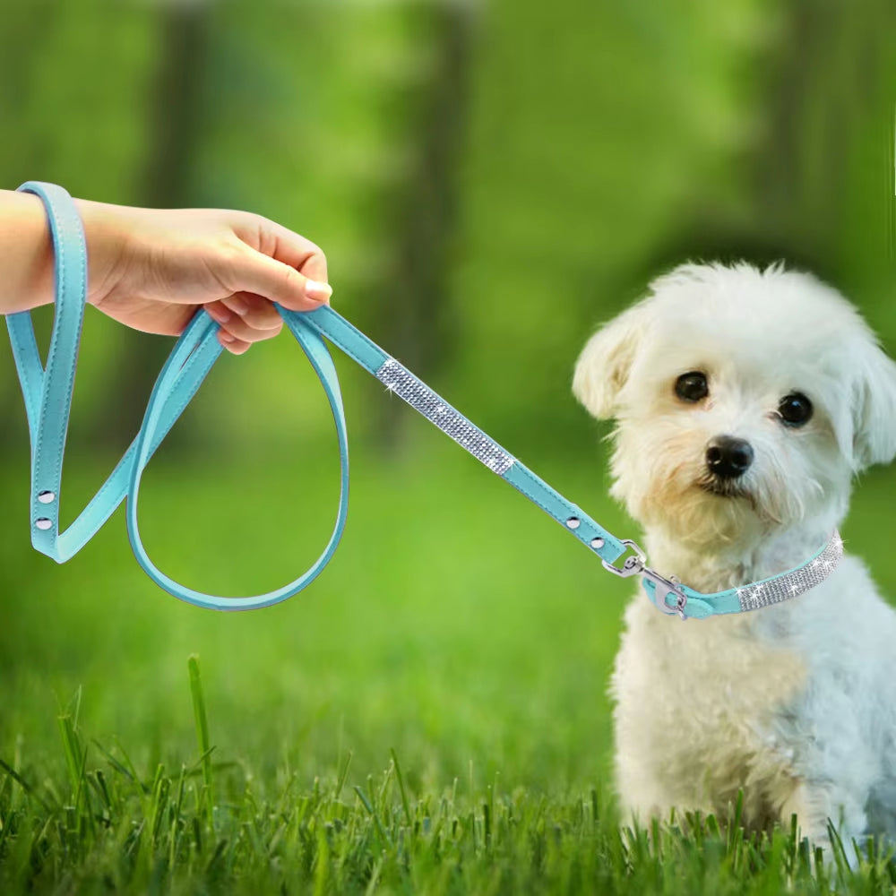 Adjustable Suede Leather Puppy Dog Collar and Leash Set with Rhinestones for Small to Medium Pets