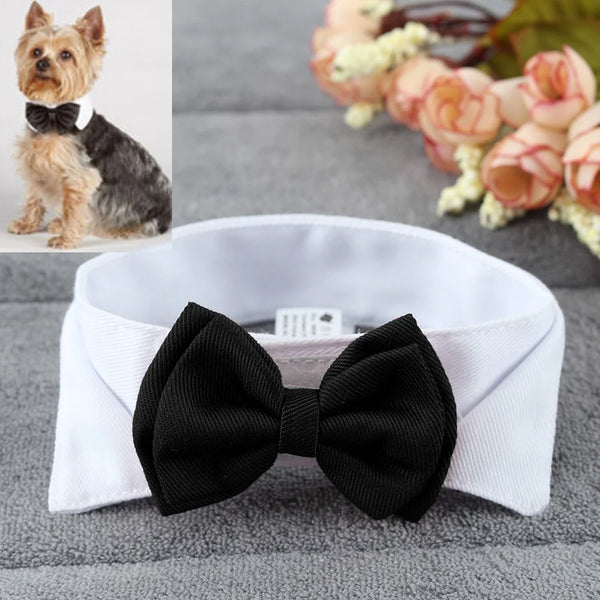 Adjustable Bow Tie Collar for Pets - Suitable for Dogs and Cats, Ideal for Holidays and Weddings, Elegant Grooming Accessory