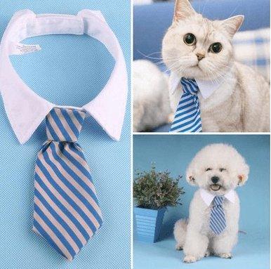 Cartoon Print Pet Bow Tie Set - Wholesale Dog And Baby Tie Collection