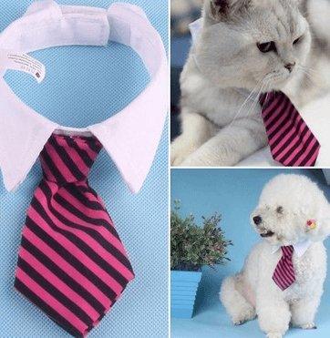 Cartoon Print Pet Bow Tie Set - Wholesale Dog And Baby Tie Collection